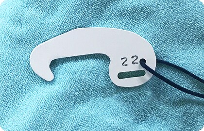 サウナ室の入り方